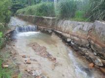 Petani Teluk Betung Koto Hilir Keluhkan Tak Punya Irigrasi, Pemkab Pesisir Selatan Diminta Turun Tangan