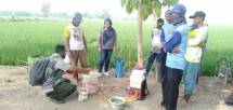 Persiapan pemberantasan hama oleh petani
