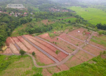 Cegah Resesi! Siasati Kondisi Pandemi dengan Investasi Perkebunan di Lahan Kavling, Hasilnya Mencengangkan
