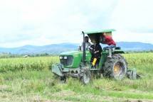 Mentan Syahrul Pantau Jalanya Produktivitas Pertanian di Pulau Buru