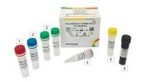 Daewoong Pharmaceutcia
