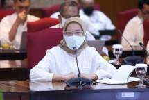 Deputi Bidang Kelembagaan dan Tata Laksana Kementerian Pendayagunaan Aparatur Negara dan Reformasi Birokrasi (PANRB) Rini Widyantini