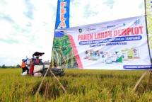 Agro-Solution, Cara Produsen Pupuk Memajukan Sektor Pertanian Tanah Air