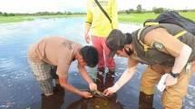 Petani di sawah yang sudah siap tanam