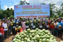 TNI-Warga Papua Perkuat Ketahanan Pangan
