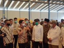 Ekspor Melejit, Komisi IV DPR RI Dukung Kementan Kembangkan Porang