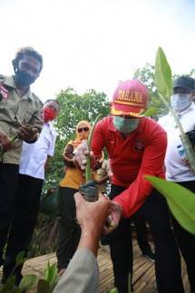 Sejuta Bibit Mangrove dari Kemensos Antispiasi Megatrust