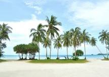 Hamparan pantai berpasir putih.