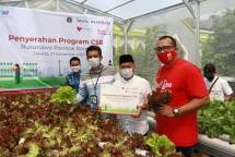 Keren! Bank DKI Ajak Warga Rusun DKI Jakarta Kembangkan Usaha Hidroponik