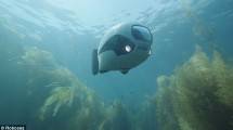 Biki, Fish Drone (Foto: Dailymail)