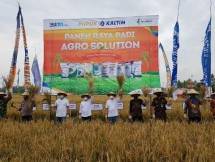 Pupuk Indonesia Terus Perluas Program Agro Solution