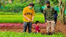 Ilustrasi pengenalan anak kepada pertanian