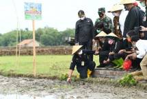 Menteri Pertanian Syahrul Yasin Limpo di lahan pertanian