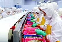 Ilustrasi Pekerja Industri Manufaktur