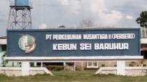 PTPN III (ist)