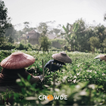 CROWDE - Startup Tekfin di Bidang Pertanian