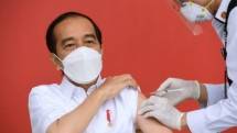 Vaksinator, Prof. dr. Abdul Muthalib, Sp.PD-KHOM., menyuntikkan vaksin CoronaVac produksi Sinovac kepada Presiden Joko Widodo di teras Istana Merdeka, Jakarta, pada Rabu, 13 Januari 2021. Foto: BPMI Setpres/Muchlis Jr.