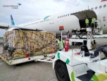 Cargo GIA