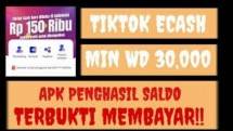 Tamat Riwayat Tiktokecash, Melanggar Hukum Resmi Diblokir