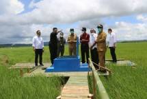 Catat! Food Estate untuk Menjaga Swasembada Pangan