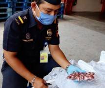 Petugas Bea Cukai Teluk Bayur Sumatera Barat sedang Memeriksa Jengkol swbelum di ekapor ke Jepang