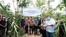 Dasyat! Tak Hanya Terangi Indonesia, PLN Buat Program &lsquo;Cahaya untuk Sang Naga&rsquo;