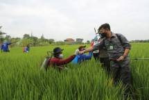Menteri Pertanian Syahrul Yasin Limpo saat di sawah