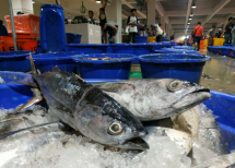 Industri Perikanan RI 'Unjuk Gigi' di 19thSeafood Show Osaka 2022