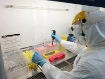 Laboratorium Veteriner Kementan Ditunjuk Menjadi Pusat Bioinformatika ASEAN