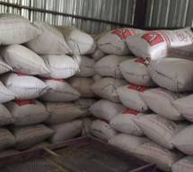 Dahsyat, Kostraling Jambi Siap Serap Gabah Kering Panen Petani 8.000 Ton
