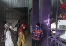 Serap 25.000 Gabah Lampung, Kementan Terjunkan Tim GSGP