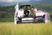 Mentan Dorong Kabupaten Barru Jadi Sentra Beras Nasional