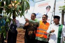 BTN Siap Dukung Perumahan Ramah Lingkungan