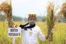 Menteri Pertanian Syahrul Yasin Limpo