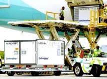 Vaksin Sinovac Tiba di Bandara Soekarno Hatta