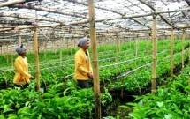 DPR: Anak Milenial Jangan Malu Jadi Petani
