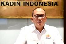 Ketum KADIN Rosan P Roeslani