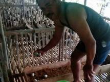 Peternak itik di Kalimantan Tengah