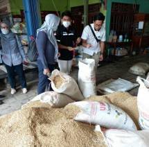 Gabah petani yang sedang diserap demi kesejahteraanya