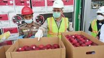 Proses karantina di border