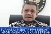 Wamenkeu Suahasil Nazara