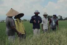 Sahabat Petani, Upaya Pupuk Indonesia Lebih Dekat dengan Pelanggan