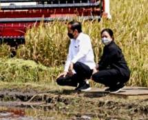 Menggelegar! Puan Maharani:&nbsp;Pertanian Adalah Urusan Hidup Matinya Sebuah Bangsa...