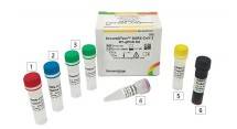 PT Daewoong Pharmaceutical Company Indonesia Mendaftarkan Test Kit COVID-19 dalam E-Katalog Indonesia