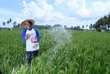 Seorang petani tersenyum gembira setelah memperoleh pasokan pupuk dari PT Pupuk Kalimantan Timur, sehingga persediaan pupuk untuk tanaman padinya akan aman hingga musim panen tiba. (Foto: Humas PT Pupuk Kalimantan Timur)