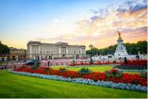 Musim Panas 2021, Wisatawan Bisa Piknik Cantik di Istana Buckingham