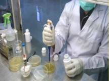 Kabar Gembira, Kini Ada Herbal Atasi Penyakit Ikan, Bikin Usaha Budiddaya Ikan Panen Gila-Gilaan