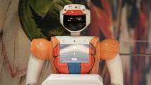 Robot di Hotel Sky, Afrika Selatan (Hotel Sky)