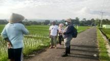 H. Tatung, Kepala Instalasi Pengamatan Hama dan Penyakit Indramayu yang juga membawahi wilayah Cirebon pun turut menjelaskan pentingnya pengamatan rutin. 