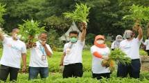 Mentan panen pangan bersama petani